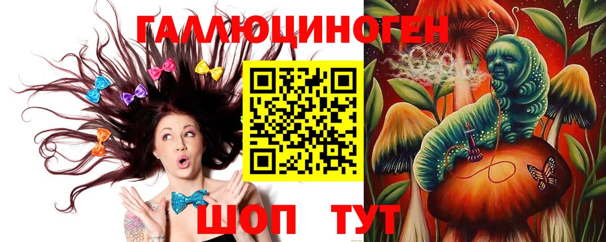 Псилоцибиновые грибы Cubensis  Вход с VPN  Галлюциногенные грибы прущие грибы  Димитровград 